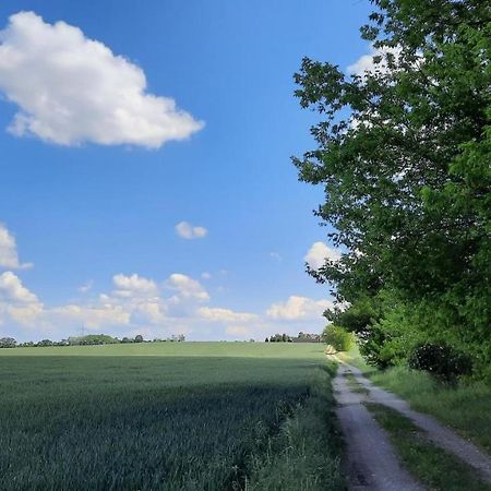 Vierseitenhof Hasenfelde - Ferienwohnung Feldblick Steinhofel 外观 照片