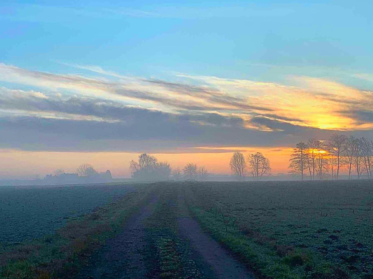 Vierseitenhof Hasenfelde - Ferienwohnung Feldblick Steinhofel 外观 照片