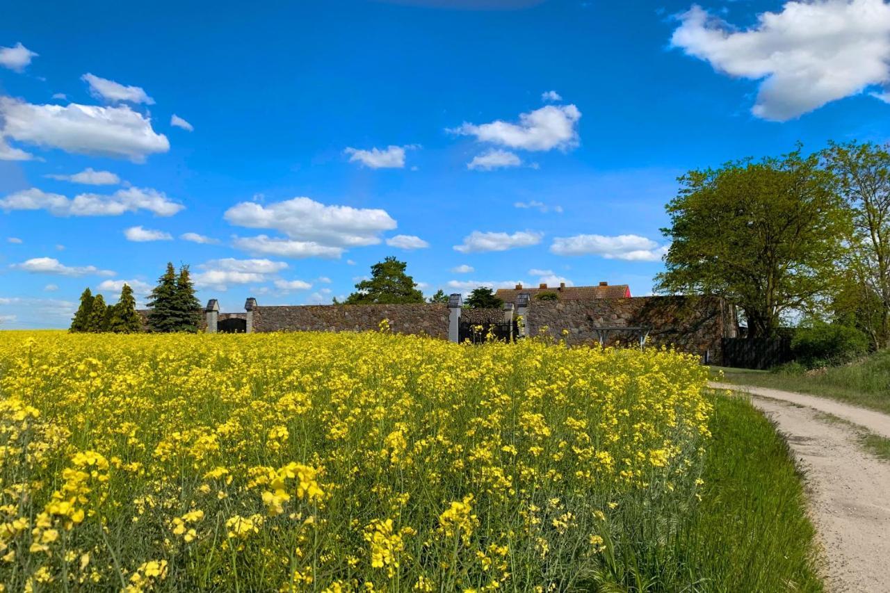 Vierseitenhof Hasenfelde - Ferienwohnung Feldblick Steinhofel 外观 照片