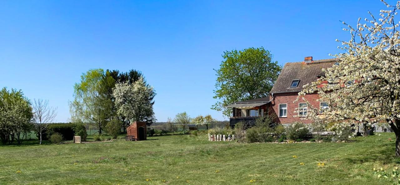 Vierseitenhof Hasenfelde - Ferienwohnung Feldblick Steinhofel 外观 照片