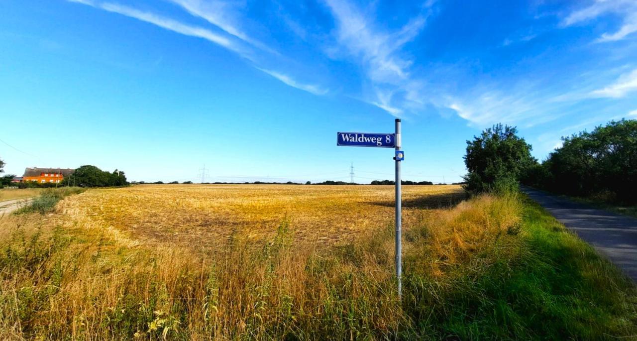Vierseitenhof Hasenfelde - Ferienwohnung Feldblick Steinhofel 外观 照片
