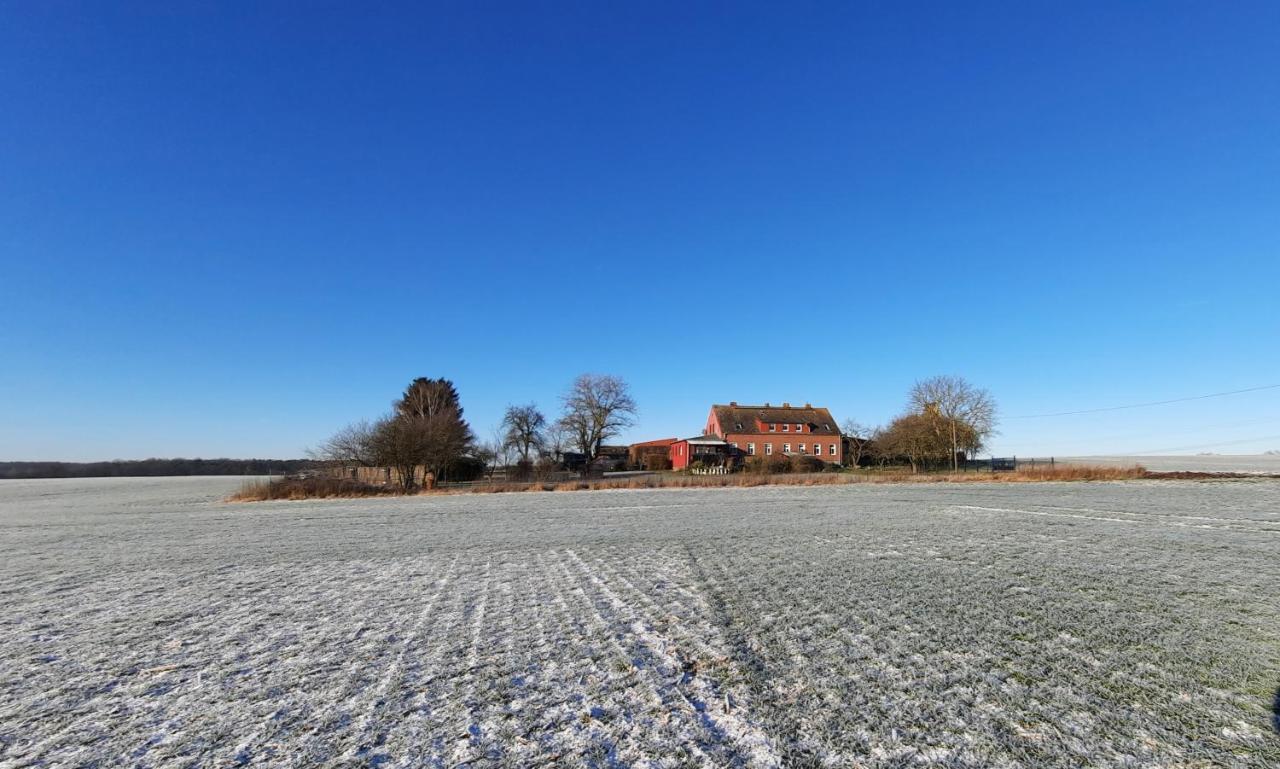 Vierseitenhof Hasenfelde - Ferienwohnung Feldblick Steinhofel 外观 照片