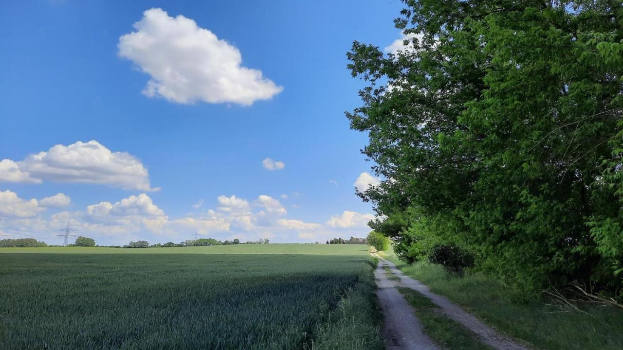 Vierseitenhof Hasenfelde - Ferienwohnung Feldblick Steinhofel 外观 照片
